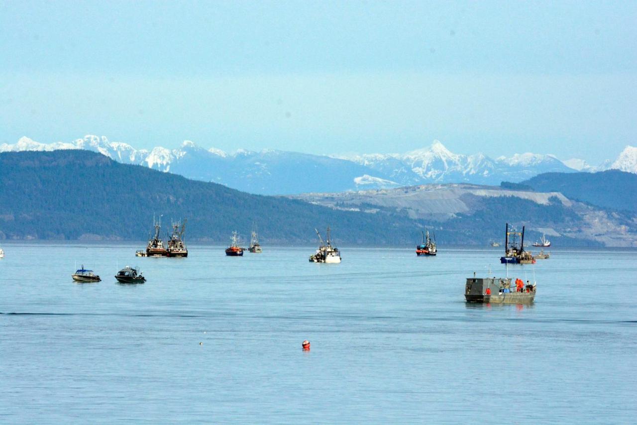 Oceanfront Paradise Comox Eksteriør bilde
