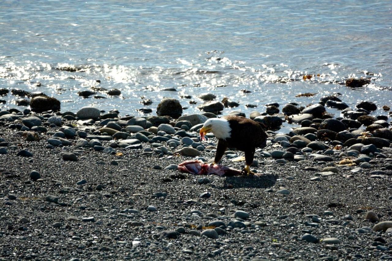 Oceanfront Paradise Comox Eksteriør bilde